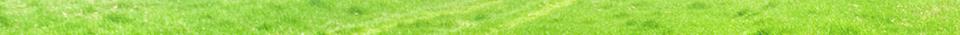 background2