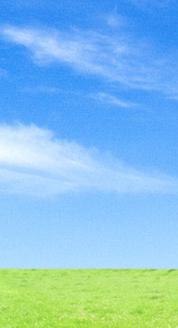 background2