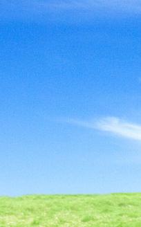 background2